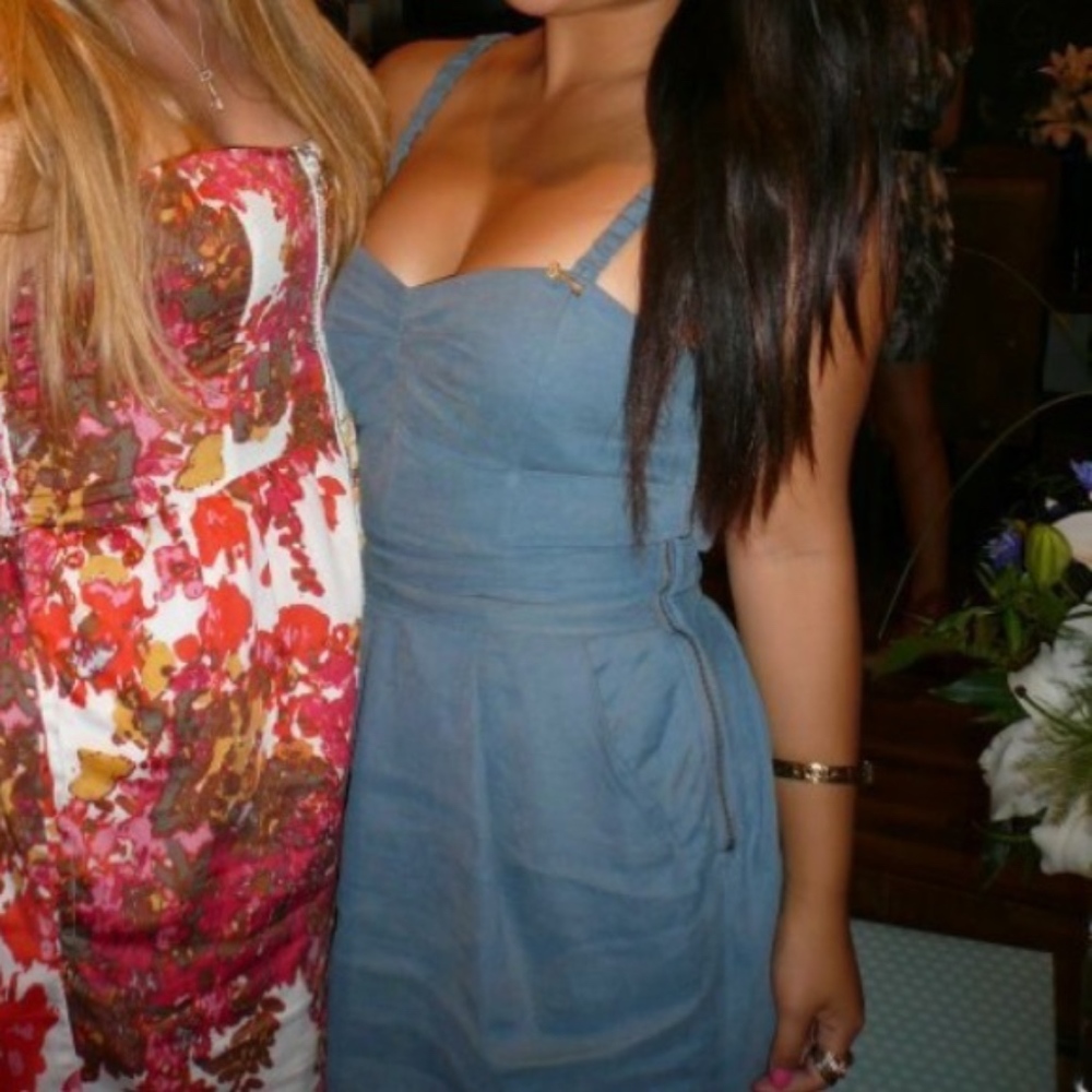 ARITZIA Chambray Dress